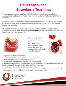 haundenosaunee strawberry teachings